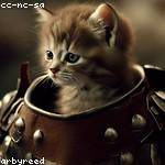 Evalyn Schiller Profile Picture