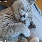 Eleanora Lang Profile Picture