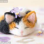 Cyrus DuBuque Profile Picture