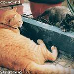 Evan Cartwright Profile Picture