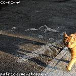 Daron Nitzsche Profile Picture