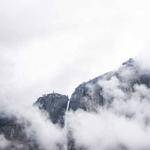 Vanessa Flatley Profile Picture