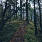 Sheridan Hoeger Profile Picture