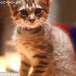 Hoyt Spinka Profile Picture