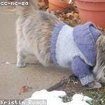 Dakota Hackett Profile Picture