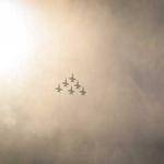 Shana Bogisich Profile Picture