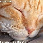 Nyah Hamill Profile Picture