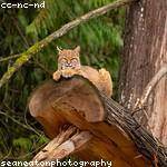 Alford Hansen Profile Picture