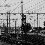 Anabelle Johns Profile Picture