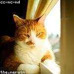 Enoch Bechtelar Profile Picture