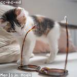 Lola Vandervort Profile Picture