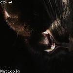 Wendell McGlynn Profile Picture