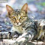 Mae Schneider Profile Picture