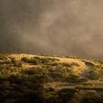 Mable Waters Profile Picture