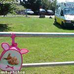 Lew Baumbach Profile Picture