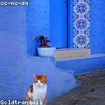 Felicity Cremin Profile Picture