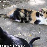 Richie Littel Profile Picture