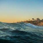 Afton Hauck Profile Picture