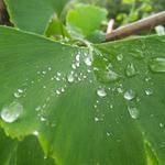 Joesph Zboncak Profile Picture