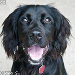 Rogers Kihn Profile Picture