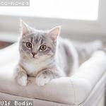 April Jones Profile Picture