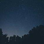 Bernard Jaskolski Profile Picture