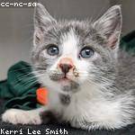 Holly Schamberger Profile Picture