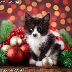 Beatrice Hyatt Profile Picture