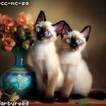 Darryl Gusikowski Profile Picture