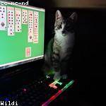 Immanuel Hoeger Profile Picture