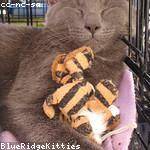 Julian Blick Profile Picture