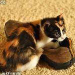 Jerry Christiansen Profile Picture