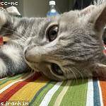 Jana Reinger Profile Picture