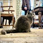 Edwardo Paucek Profile Picture